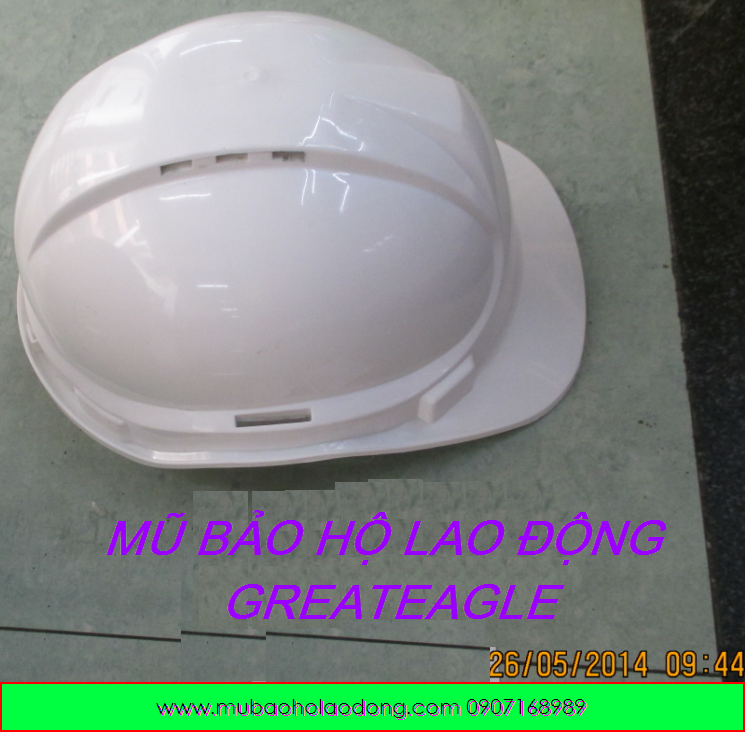 mubaoholaodonggreateagletaiwan mubaoholaodonggreateagletaiwan