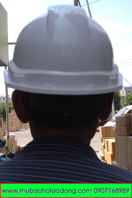 mubaoholaodonggreateagletaiwan mubaoholaodonggreateagletaiwan