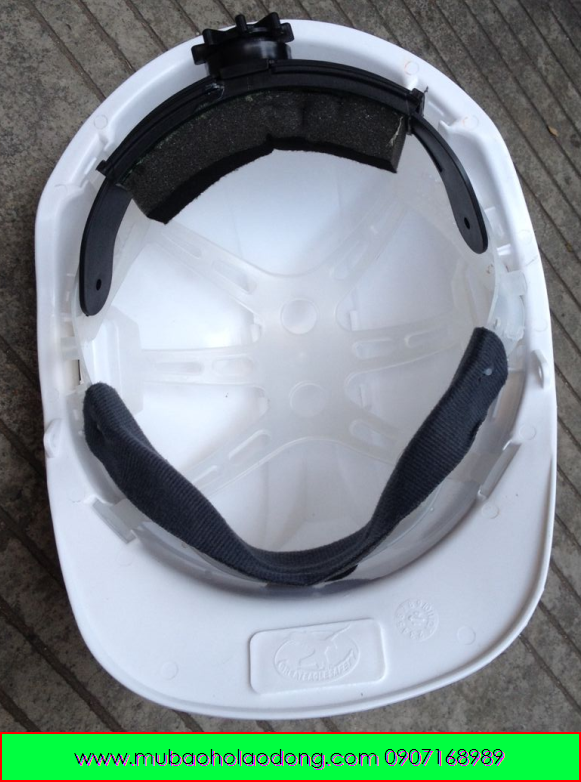 mubaoholaodonggreateagletaiwan mubaoholaodonggreateagletaiwan